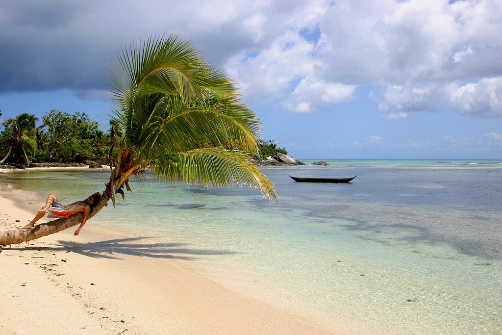 Ile aux nattes cocotiers