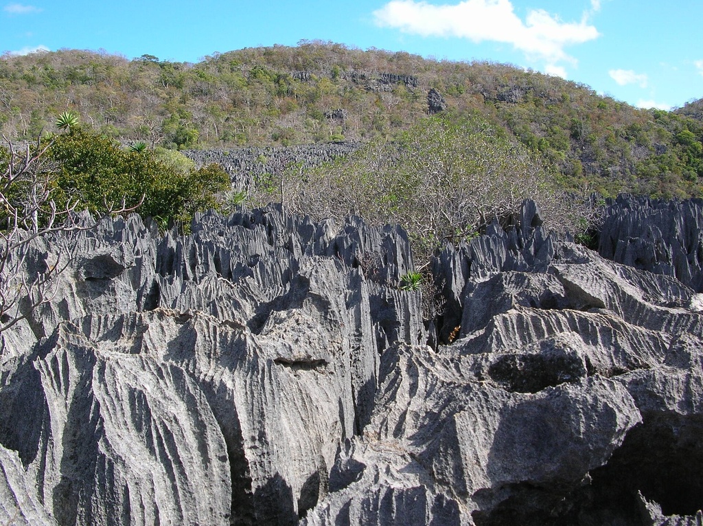 Tsingy Ankarana